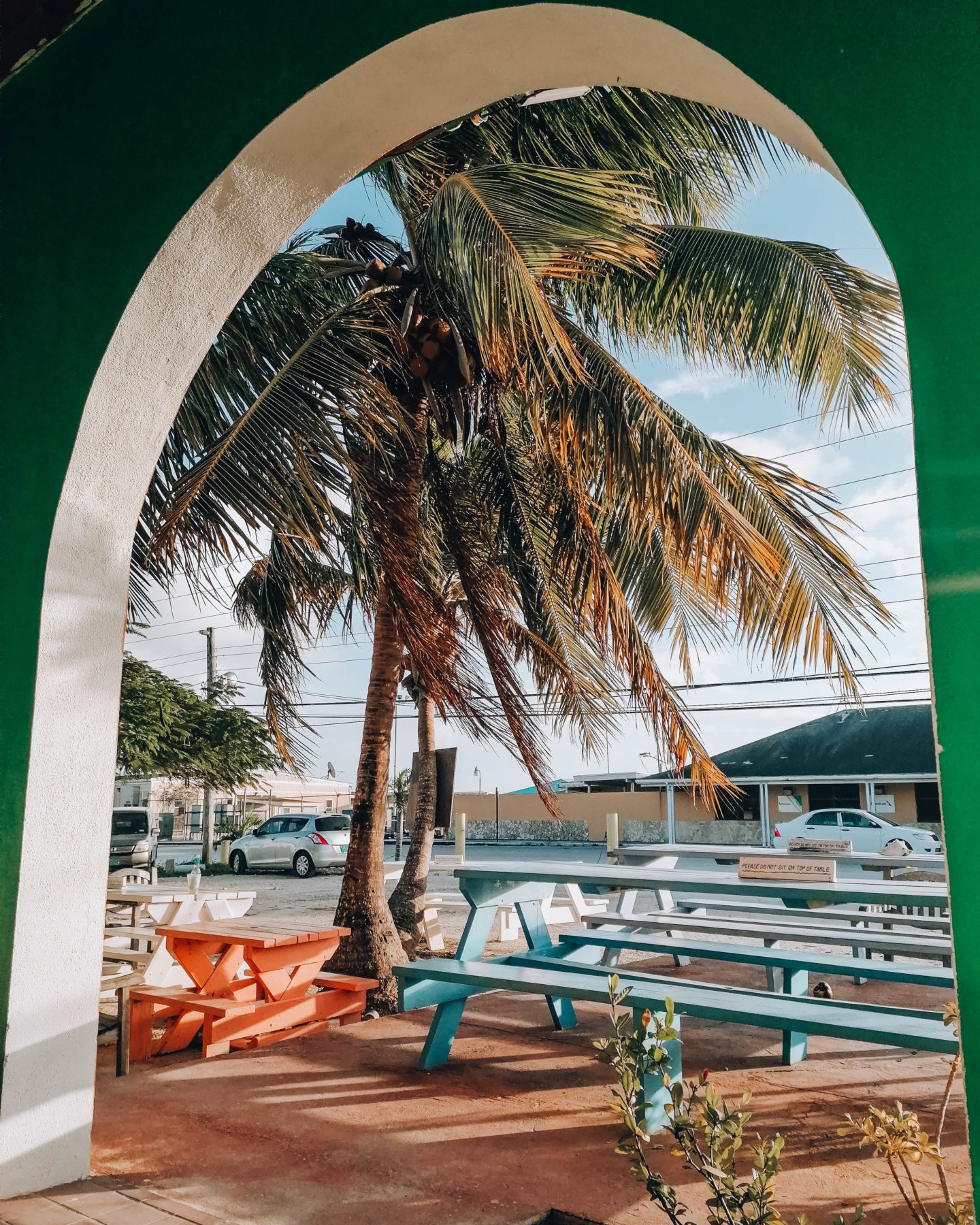 una palma e dei tavoli di legno su un'isola tropicale