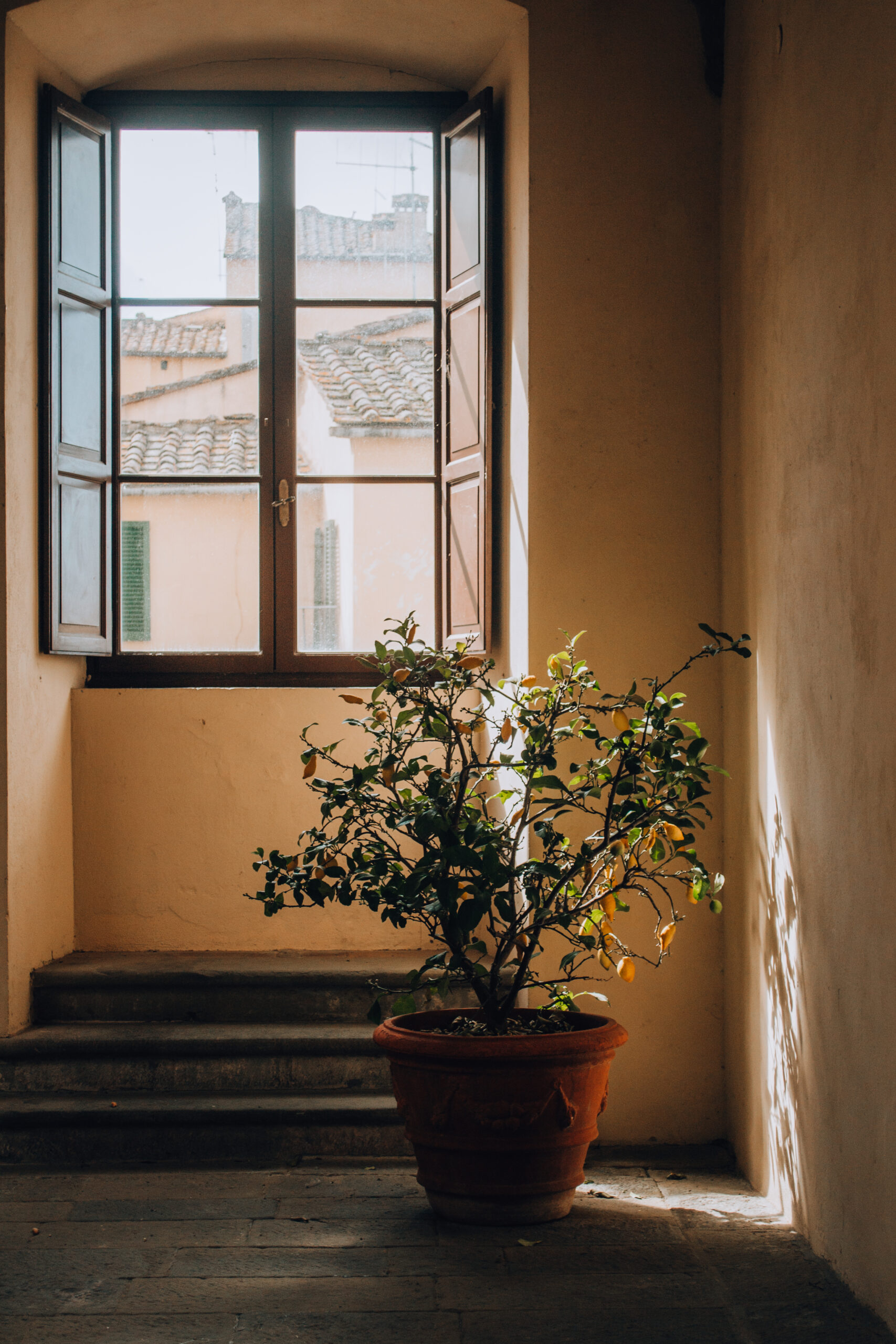 cosa vedere in valdichiana aretina