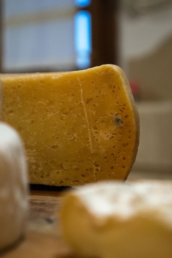 degustazione pecorino olbia