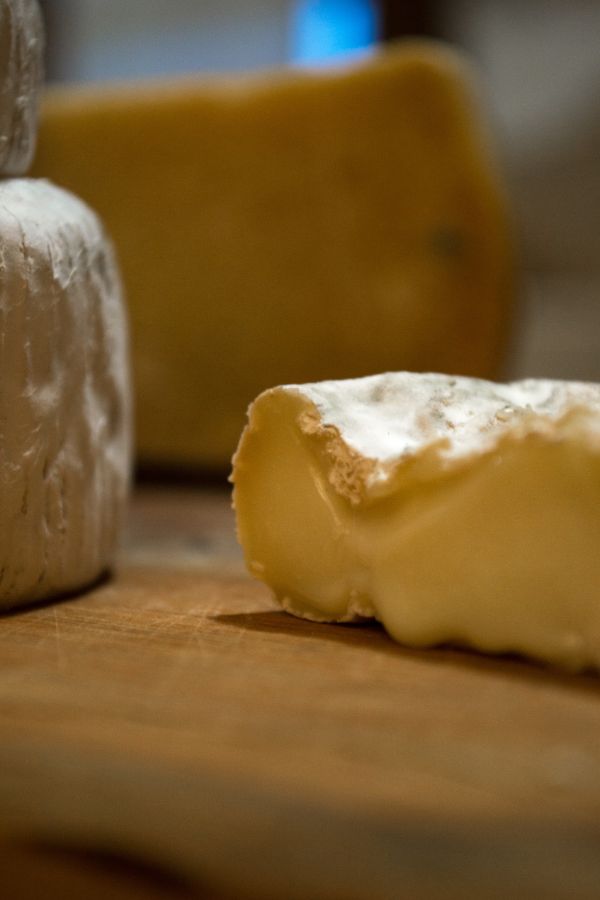 degustazione pecorino olbia