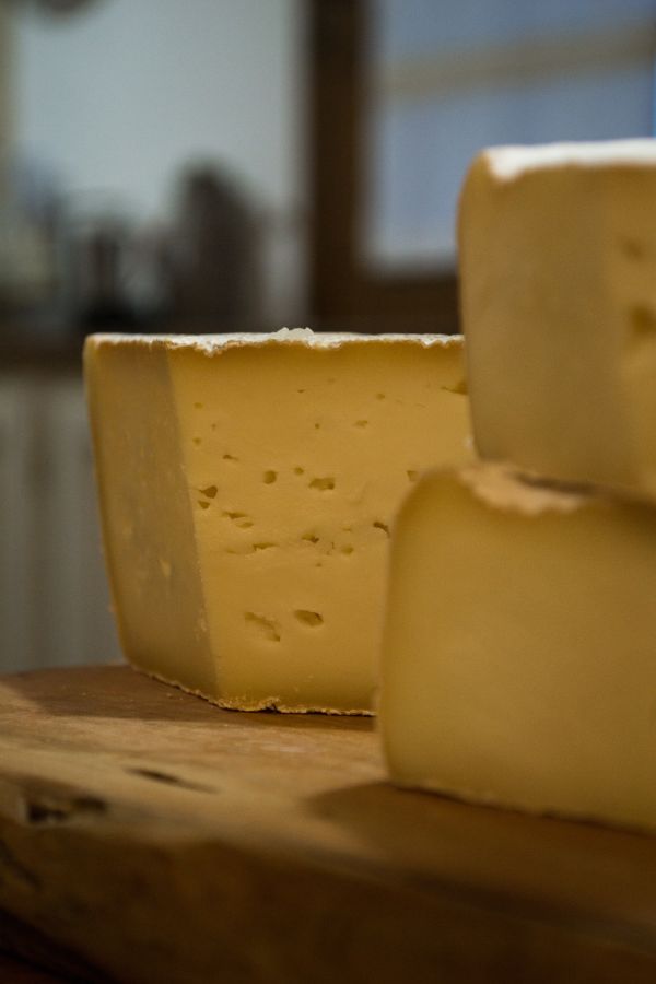 degustazione pecorino olbia