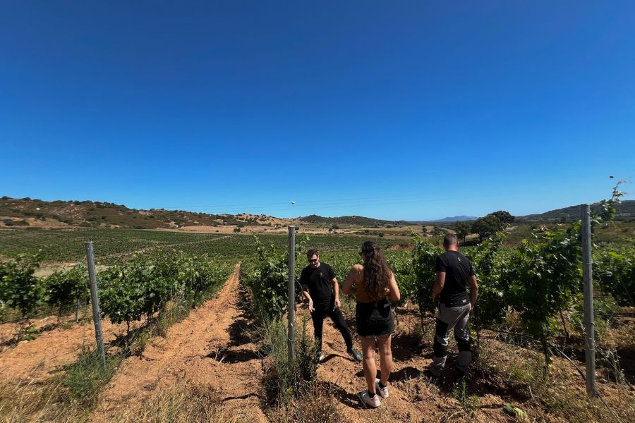 cantine animas gallura