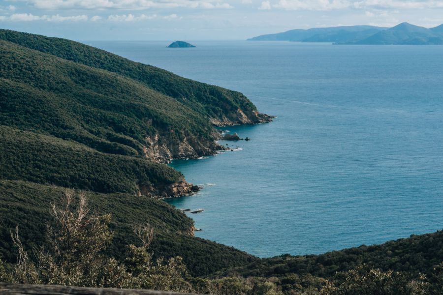 costa degli etruschi, litorale livornese