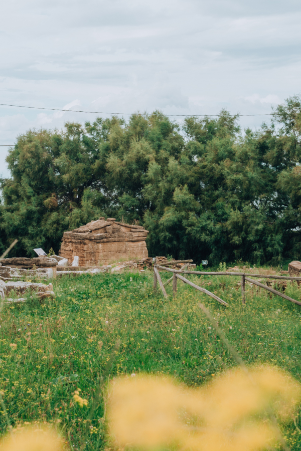 parco archeologico populonia e baratti val di cornia